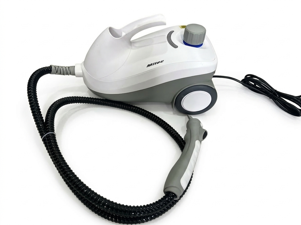 Steam cleaner