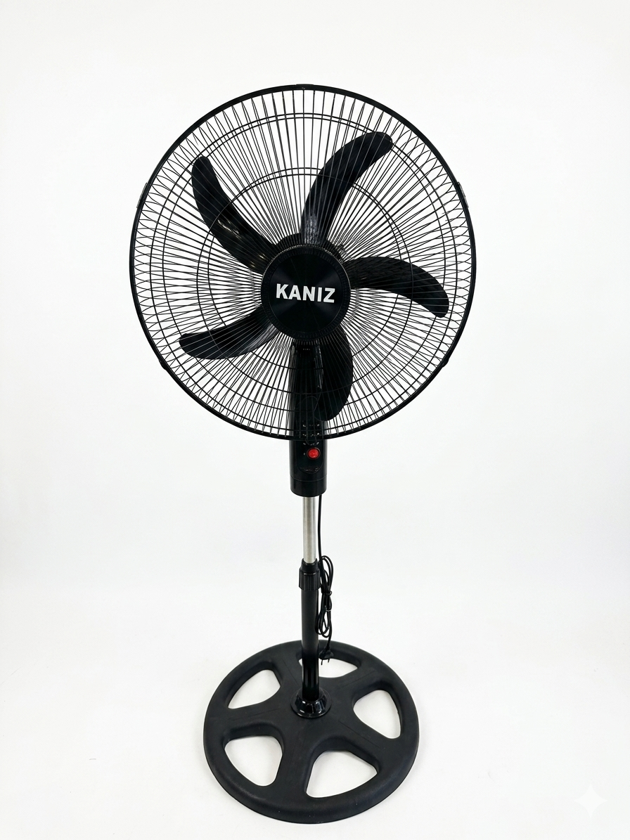 Kaniz Fan